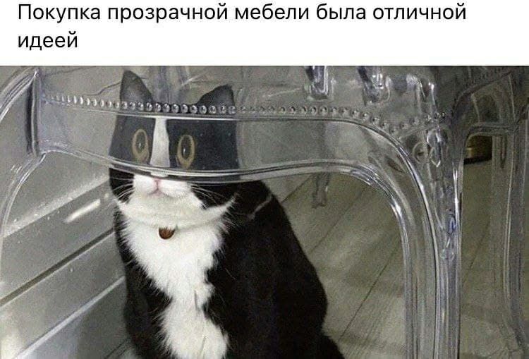 Покупка прозрачной мебели была отличной