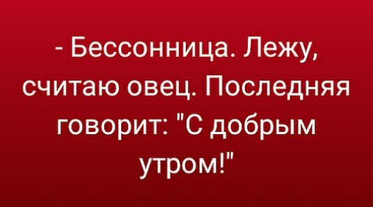 Бессонница Лежу считаю овец Последняя говорит С добрым утром