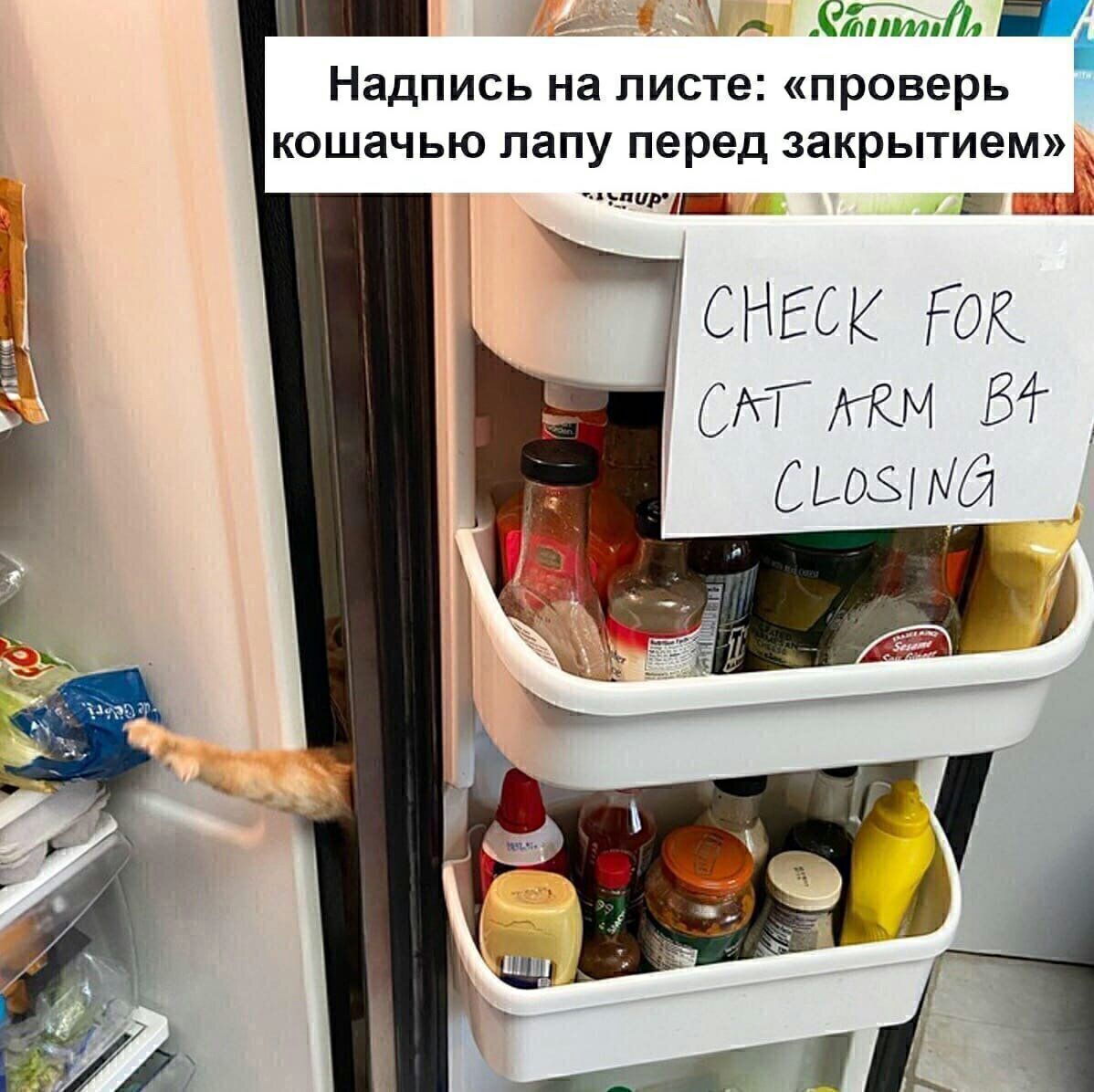 г тишдд Надпись на листе проверь кошачью лапу перед закрытием фетиш _ Е П