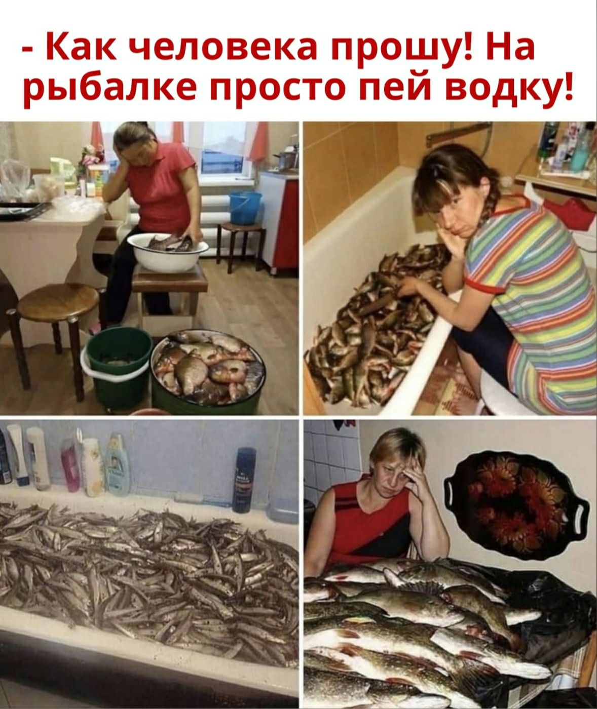 Как человека прошу На рыбалке просто пей водку