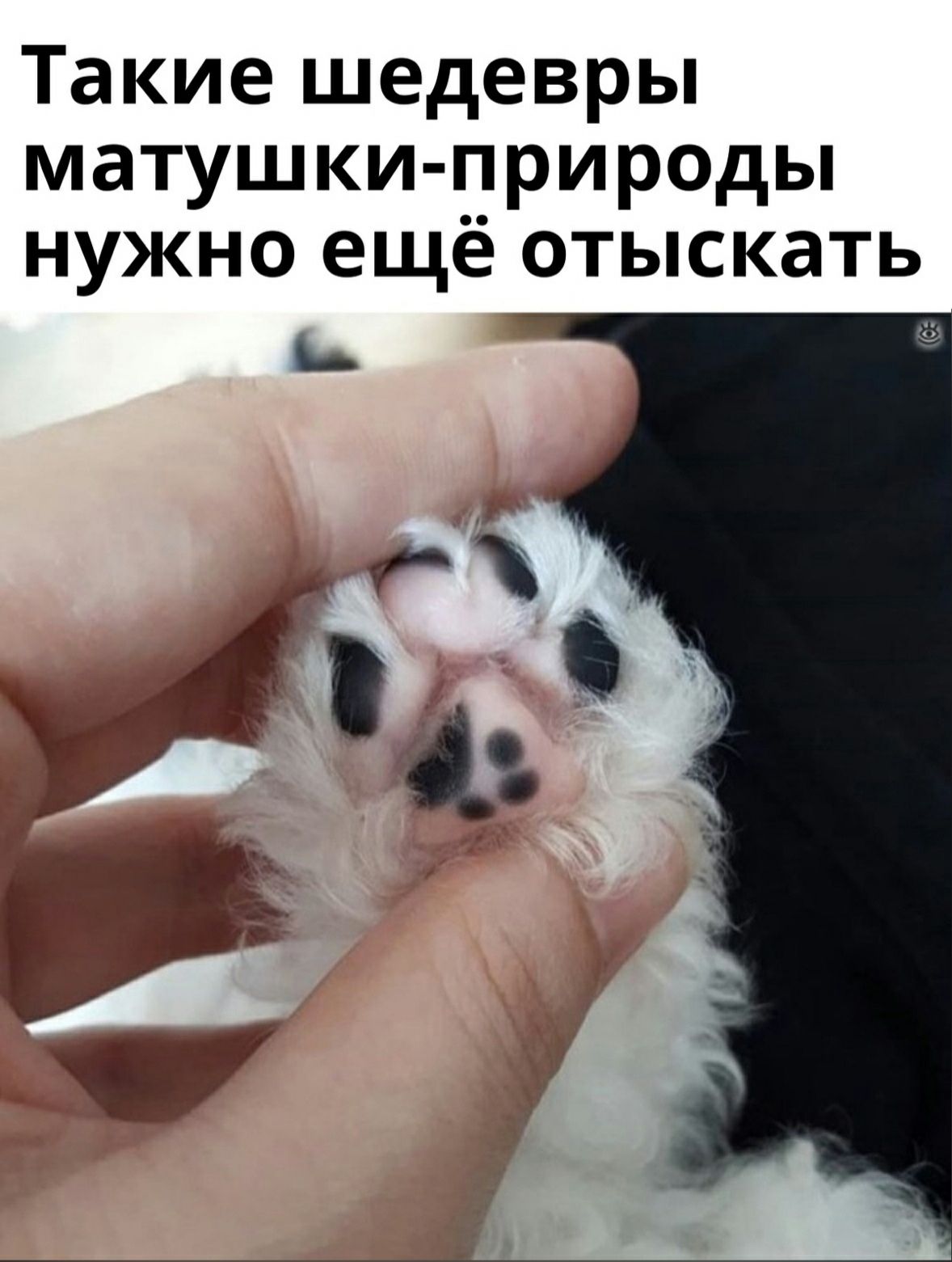 Такие шедевры матушки природы нужно ещё отыскать