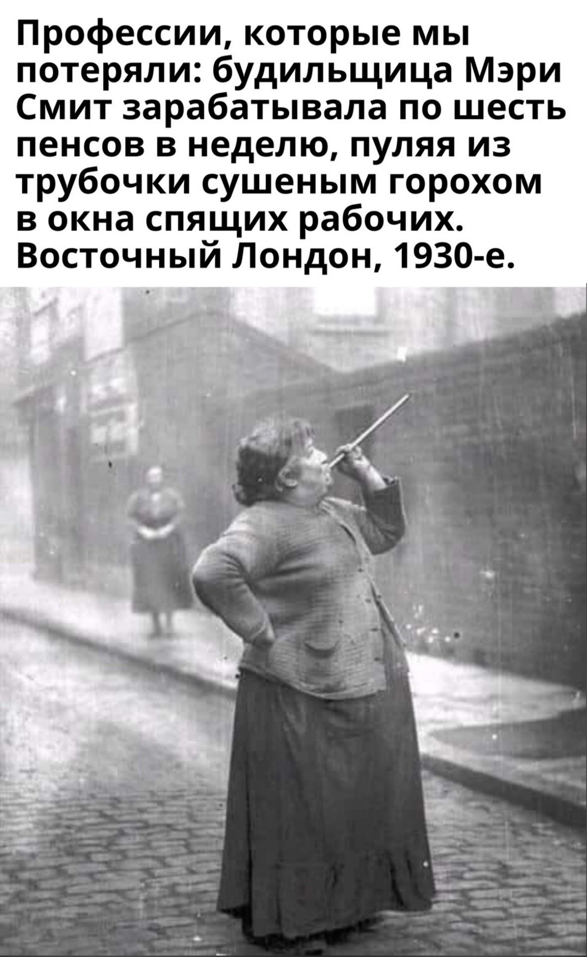 Профессии которые мы потеряли будильщица Мэри Смит зарабатывала по шесть пенсов в неделю пуляя из трубочки сушеным горохом в окна спящих рабочих Восточный Лондон 1930 е