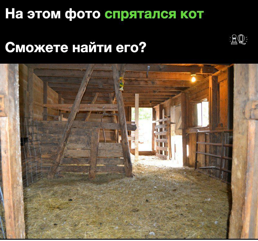 На этом фото 12115993 Сможете найти его