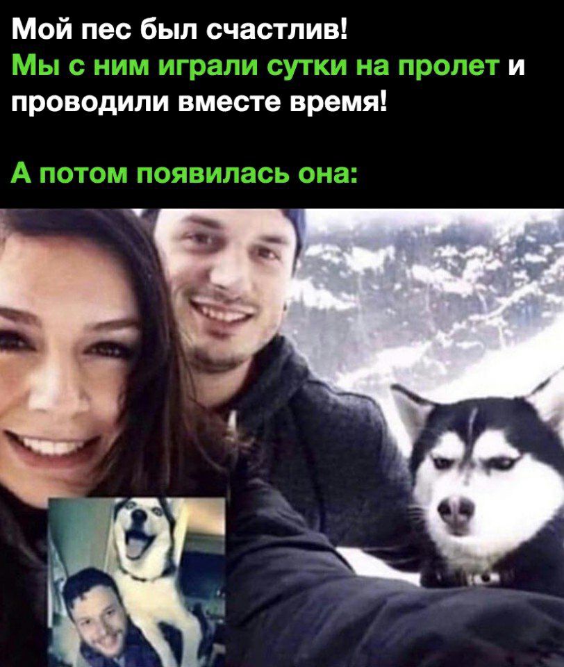 Мой пес был счастлив проводили вместе время