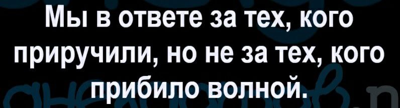 Мы в ответе за тех кого приручили но не за тех кого прибило волной
