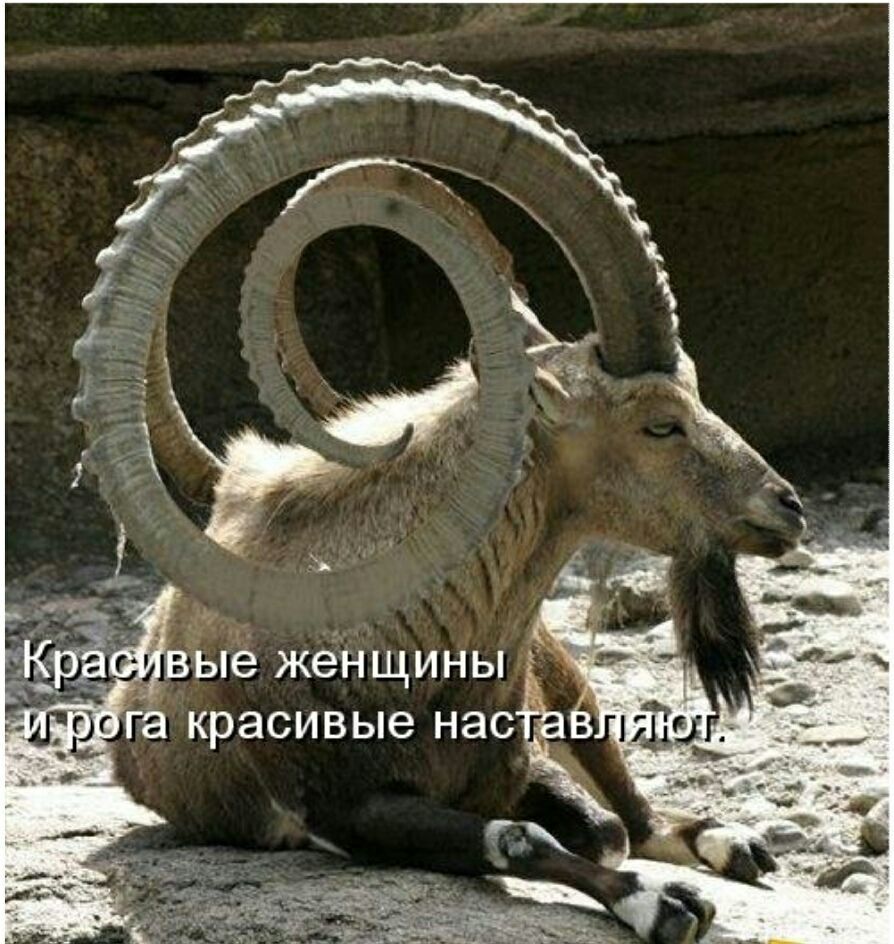 вЫё жёНщины