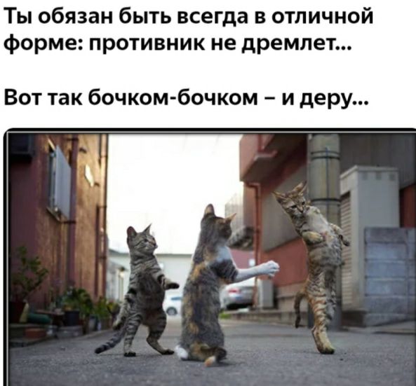 Ты обязан быть всегда в отличной форме противник не дремлет Вот так бочкомбочком и деру