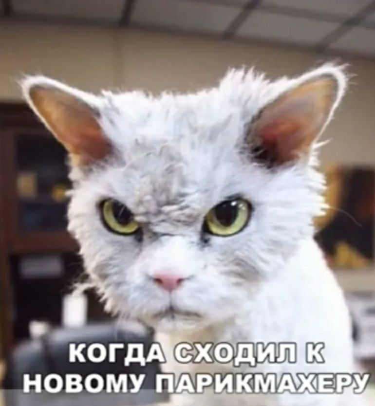 Новому парикмажеру