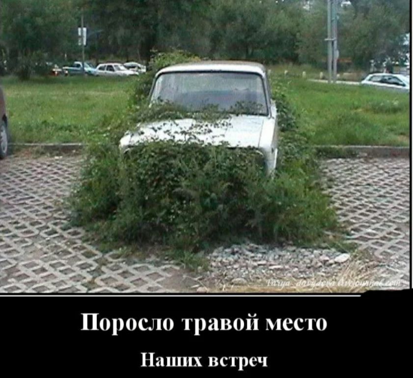 Поросло травой место Наших встреч