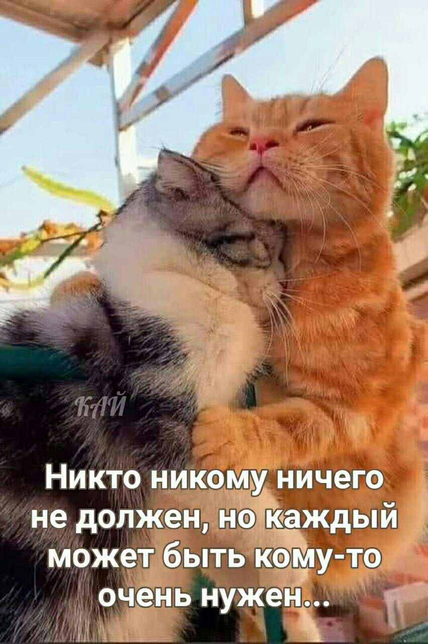 Никто никому ничего не должен но каждыи может быть коЪТ то очень нужен 3 45 _