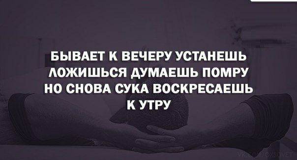 БЫВАЕТ К ВЕЧЕРУ УСТАНЕЩЬ АОЖИШЬОЯ АУМАЕШЬ ПОМРУ НО СНОВА СУКА ВОСКРЕСАЕШЬ К УТРУ