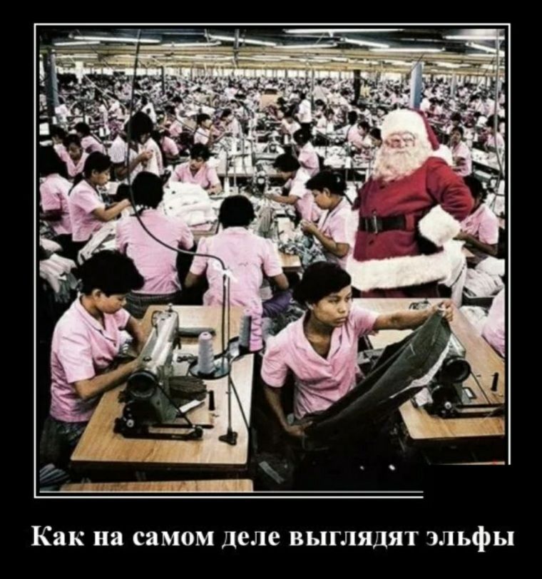 Как на самом деле ВЬПГЛЯДЯТ ЗЛЬфЬ