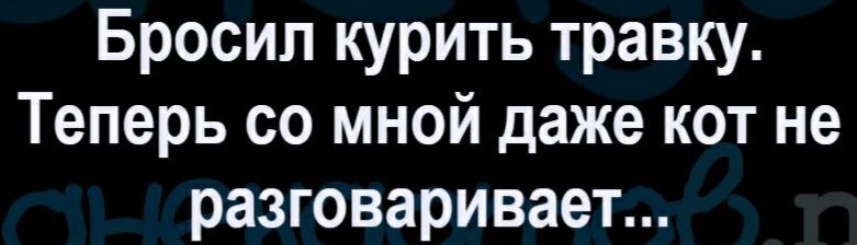 Бросил курить травку Теперь со мной даже кот не разговаривает