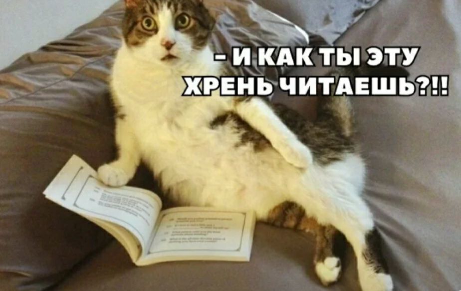 Же И КАК ТЫ ЭТУ