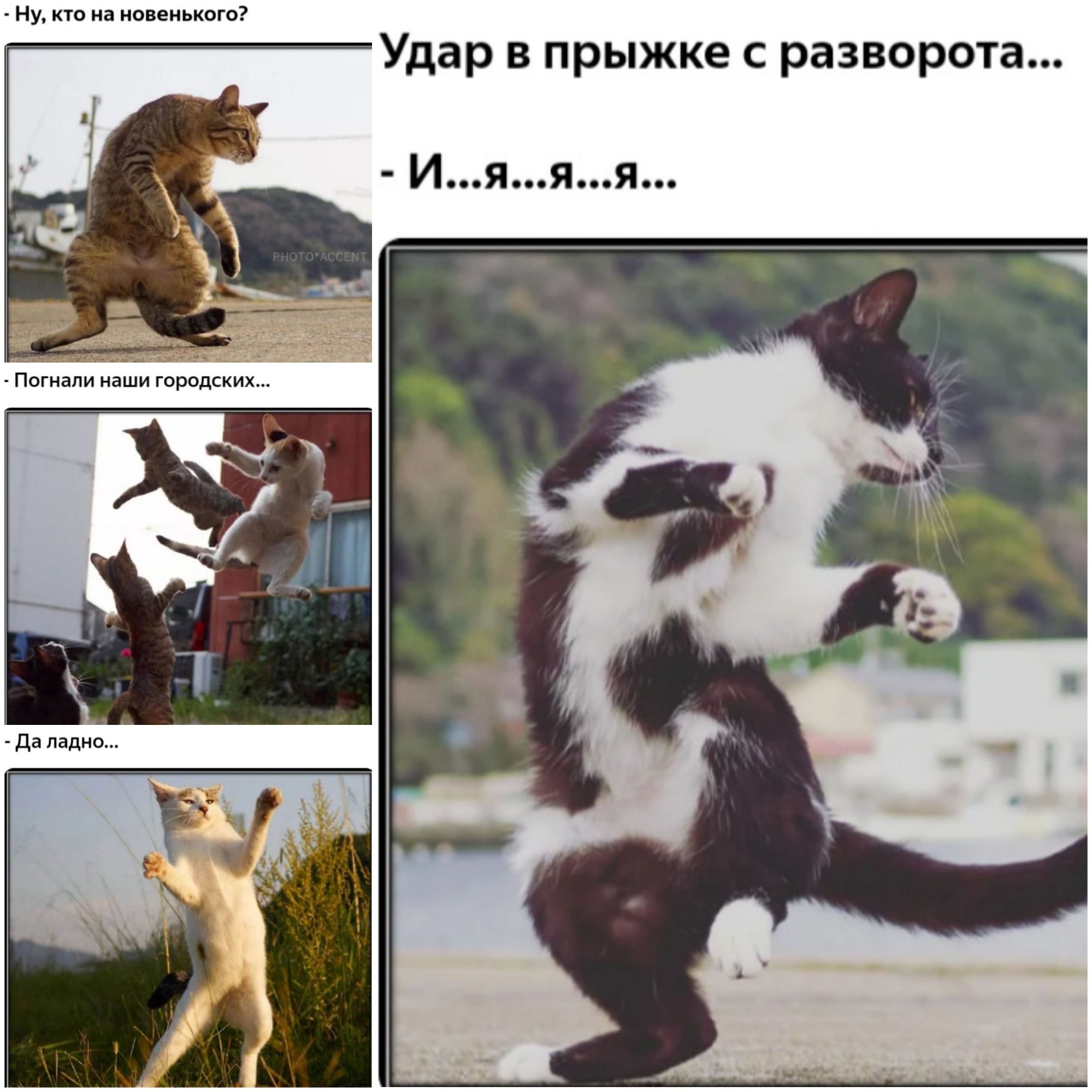 Ну кто на новенького Удар в прыжке с разворота Ияяя _д_А _ 571 33513 5щ с ПОГНЗПИ НдШИ ГОРОДСКИХ