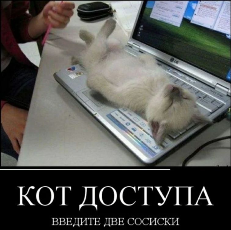 КОТ ДОСТУПА ВВЕДИТЕ ДВЕ СОСИСКИ
