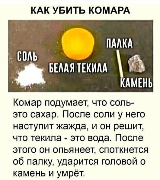 КАК УБИТЬ КОМАРА ПААКА 1 СПАЬ _ БЕААЯ ТЕКИАА КАМЕНЬ Комар подумает что соль это сахар После если у него наступит жажда и он решит что текила это вода После этого он опьянеет споткнется об палку ударится головой о камень и умрёт