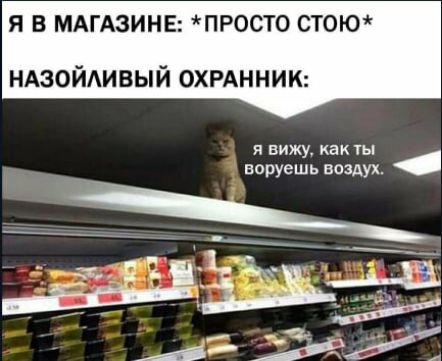 Я В МАГАЗИНЕ ПРОСТО СТ0Ю ндзойдивый ОХРАННИК и вижу как ты норуешь воздух