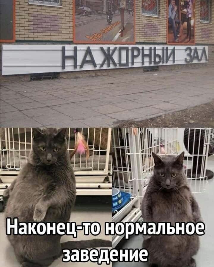 2 __ _