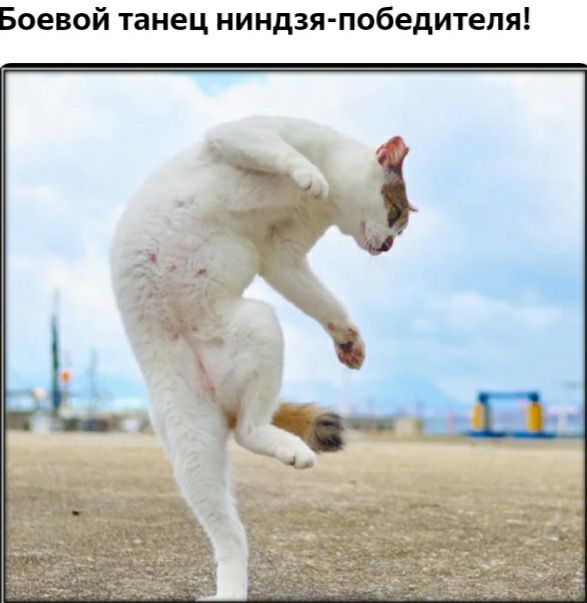 Боевой танец ниндзя победителя