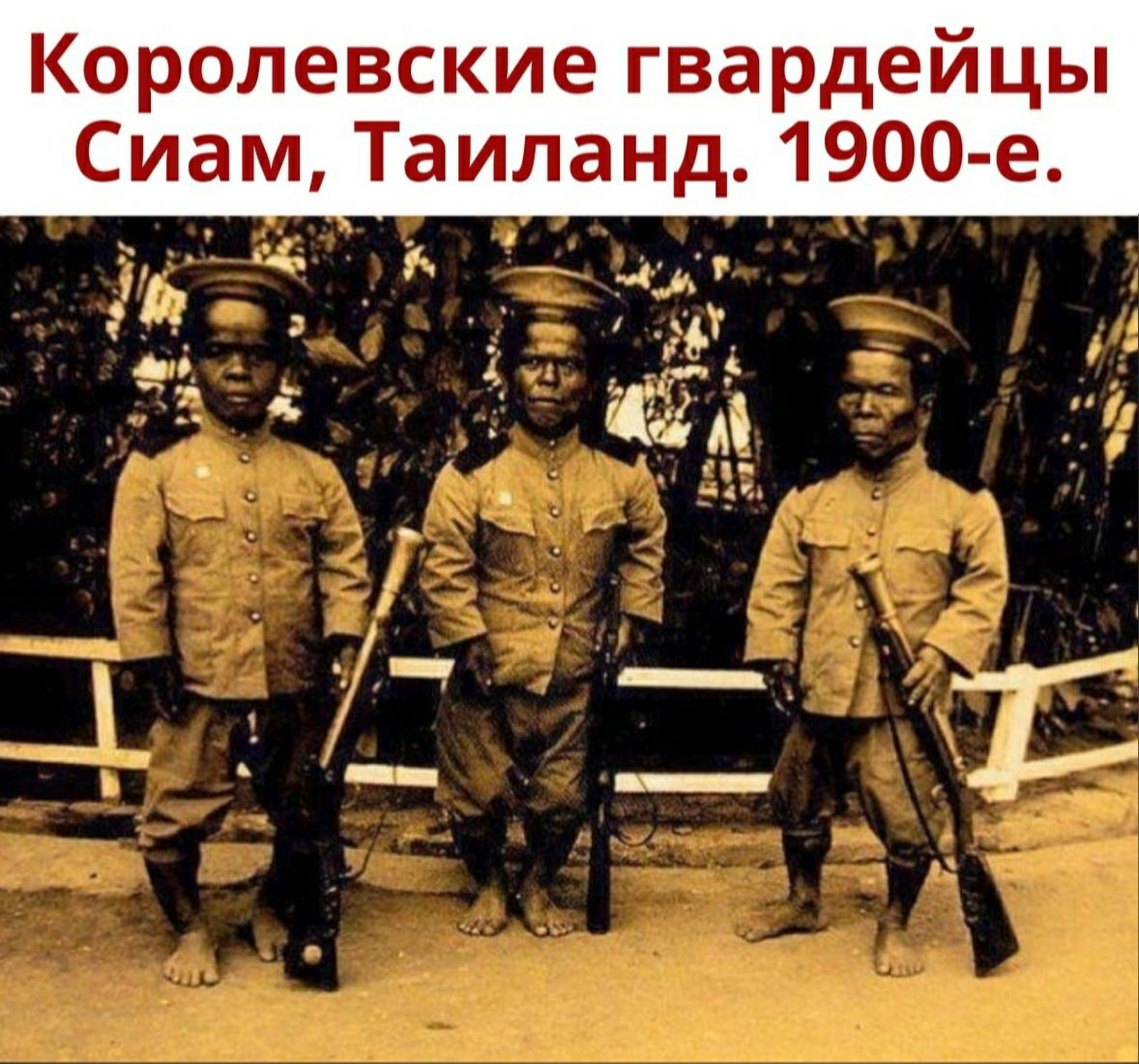 Королевские гвардейцы Сиам Таиланд 1900 е д _ шж