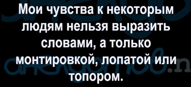 Мои чувства к некоторым людям нельзя выразить словами а только монтировкой лопатой или топором