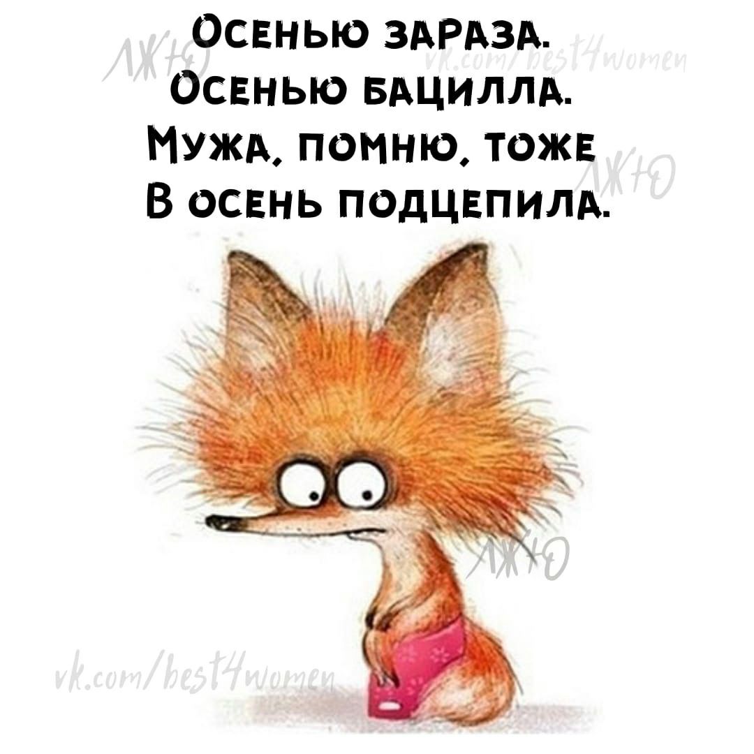 Освнью ЗАРАЗА Освнью БАЦИЛЛА МУЖА помню тожв В освнь подцвпилд