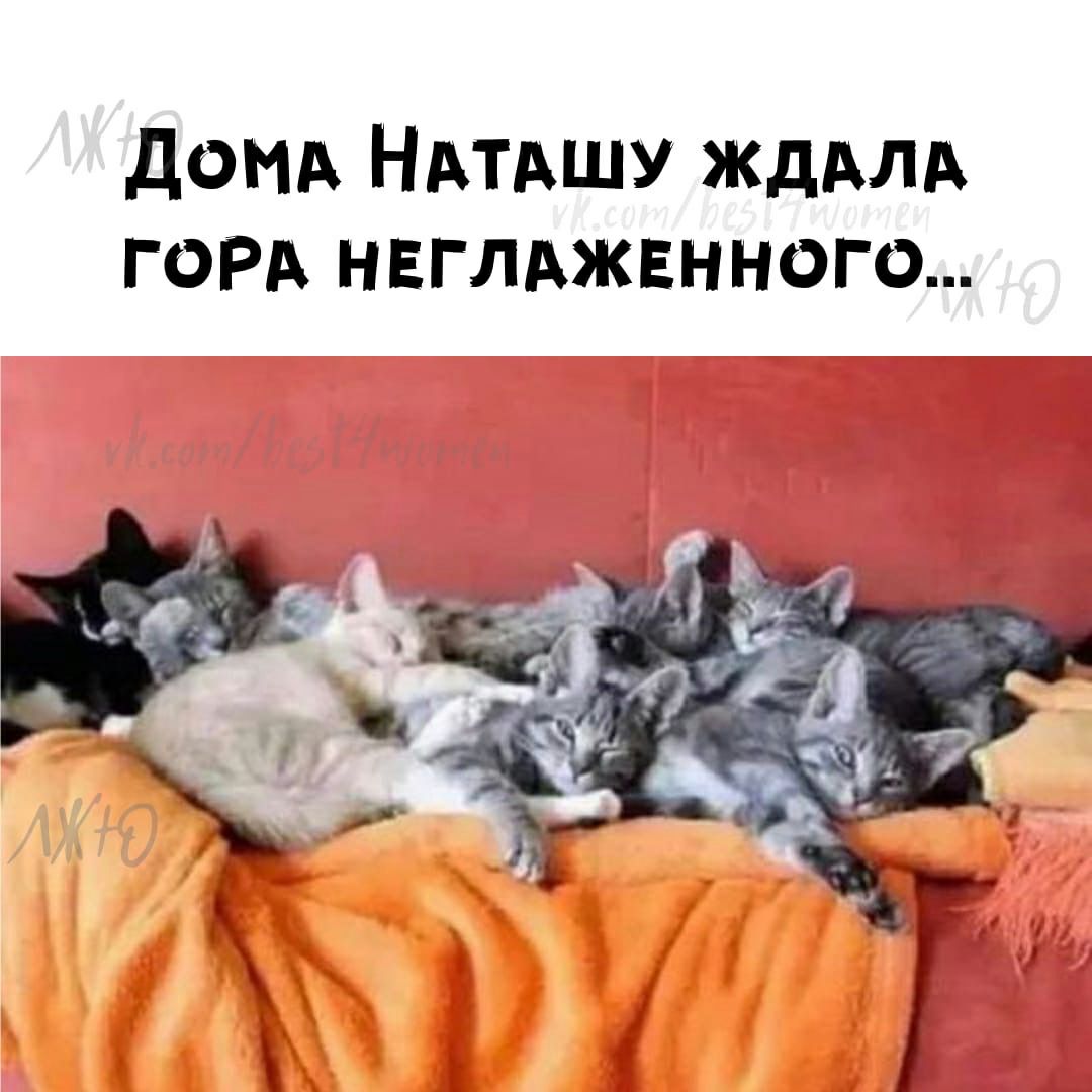 доид НАТАшу ЖДАЛА горд нвглджвнного