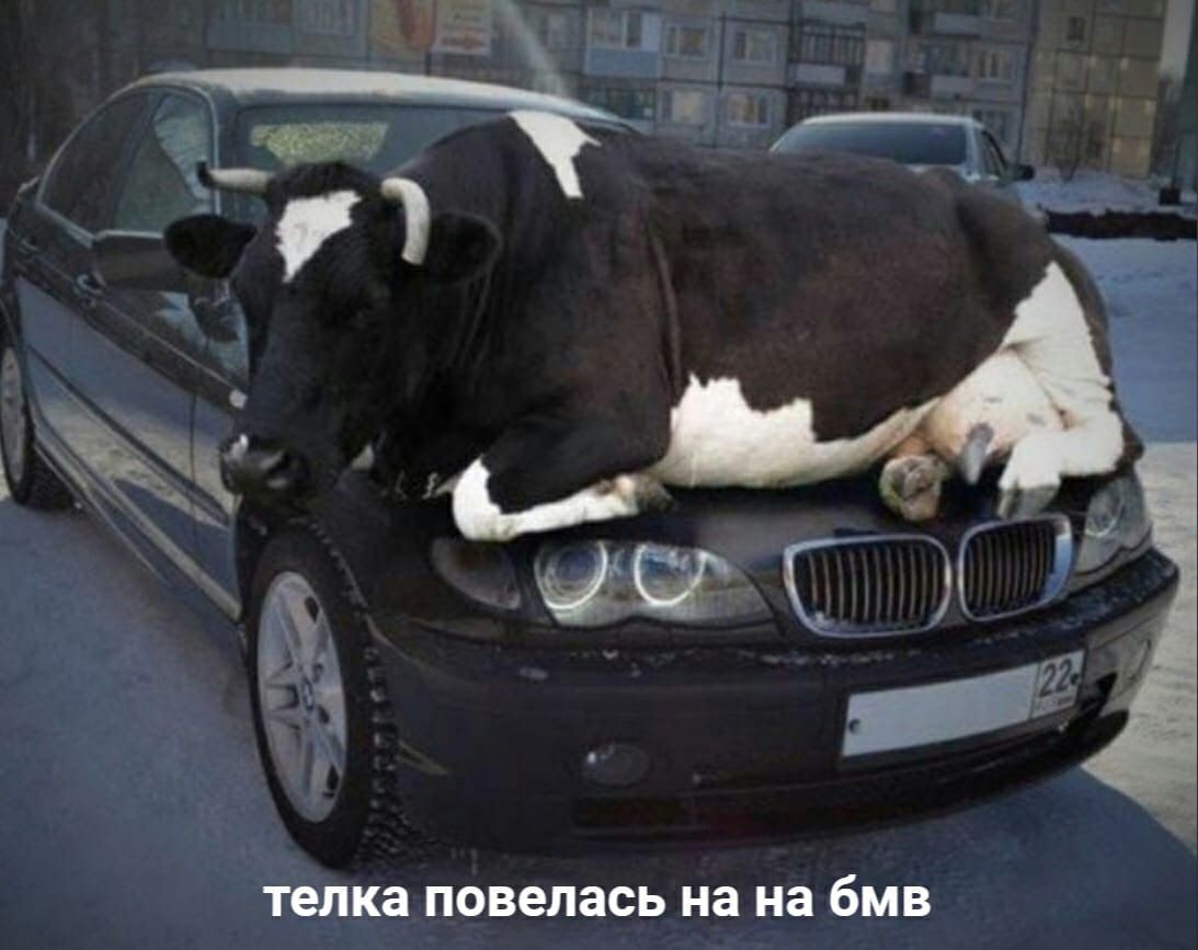 телка ПОВЭЛЗСЬ на на бМВ