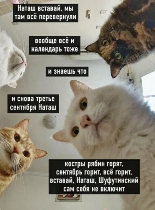 вообще всё и календарь тоже И знаешь что и снова третье сентября Наташ л костры рябин горят сентябрь горит всё горит вставай Наташ Шуфутинский сам себя не включит