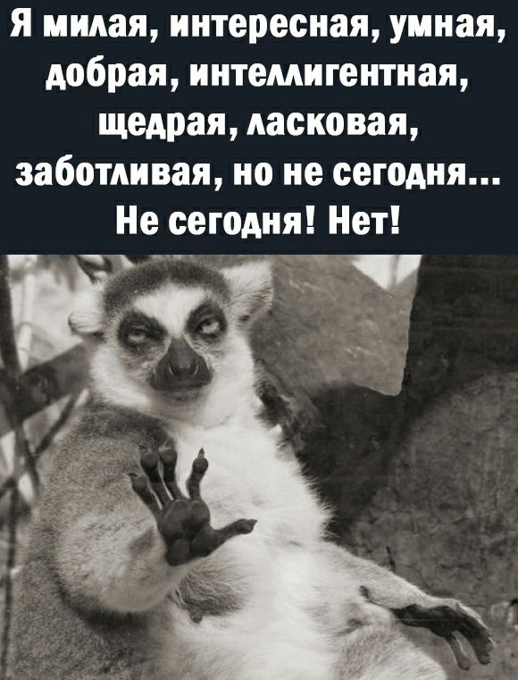 я милая интересная умная добрая интемигентная щедрая ласковая заботливая но не сегодня Не сегодня Нет