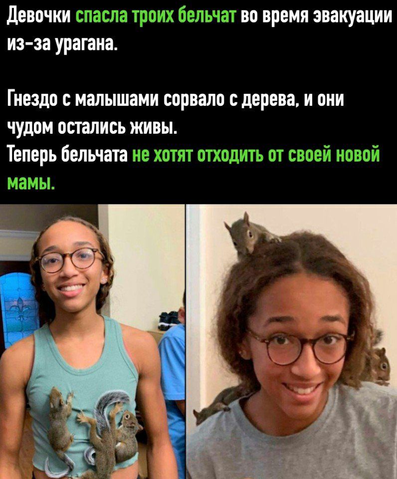 Девочки г изэа урагана 80 время эвакуации Гнездо с малышами сорвало дерева и они чудом остались живы Теперь бельчата 113 Мі т кг тт Т Г 1134