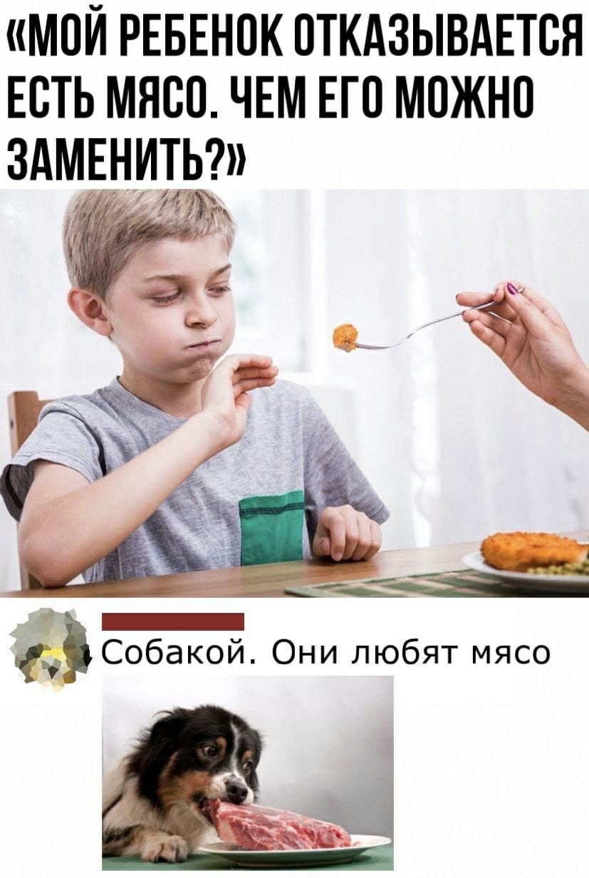 МОЙ РЕБЕНОК ОТКАЗЫВАЕТВЯ ЕСТЬ МЯСО ЧЕМ ЕГО МОЖНО ЗАМЕНИТЬ _ Собакой Они любят мясо