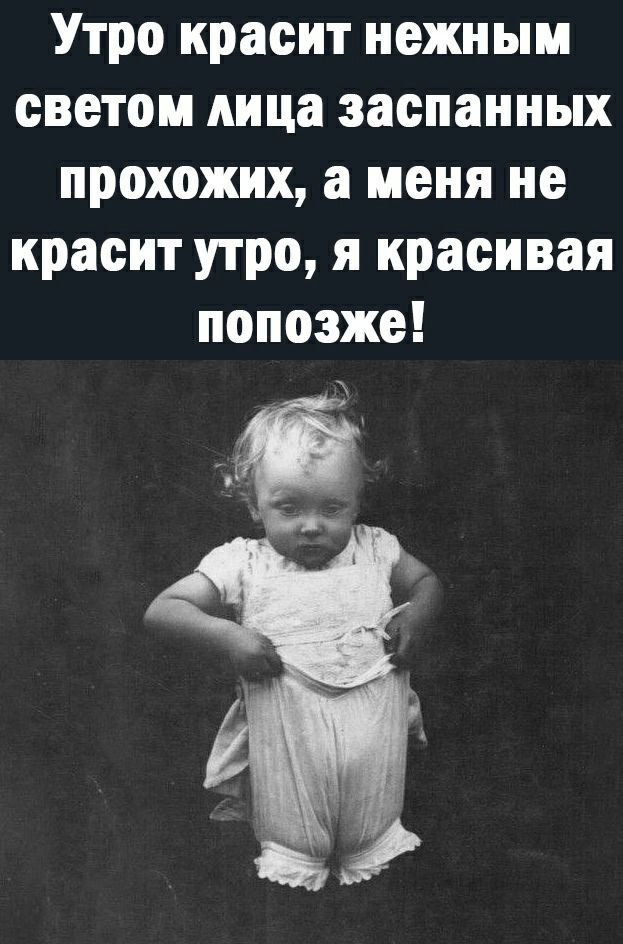 Утро красит нежным светом лица заспанных прохожих а меня не красит утро я красивая попозже