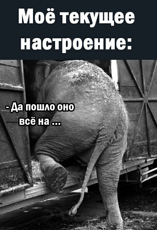 Моё текущее