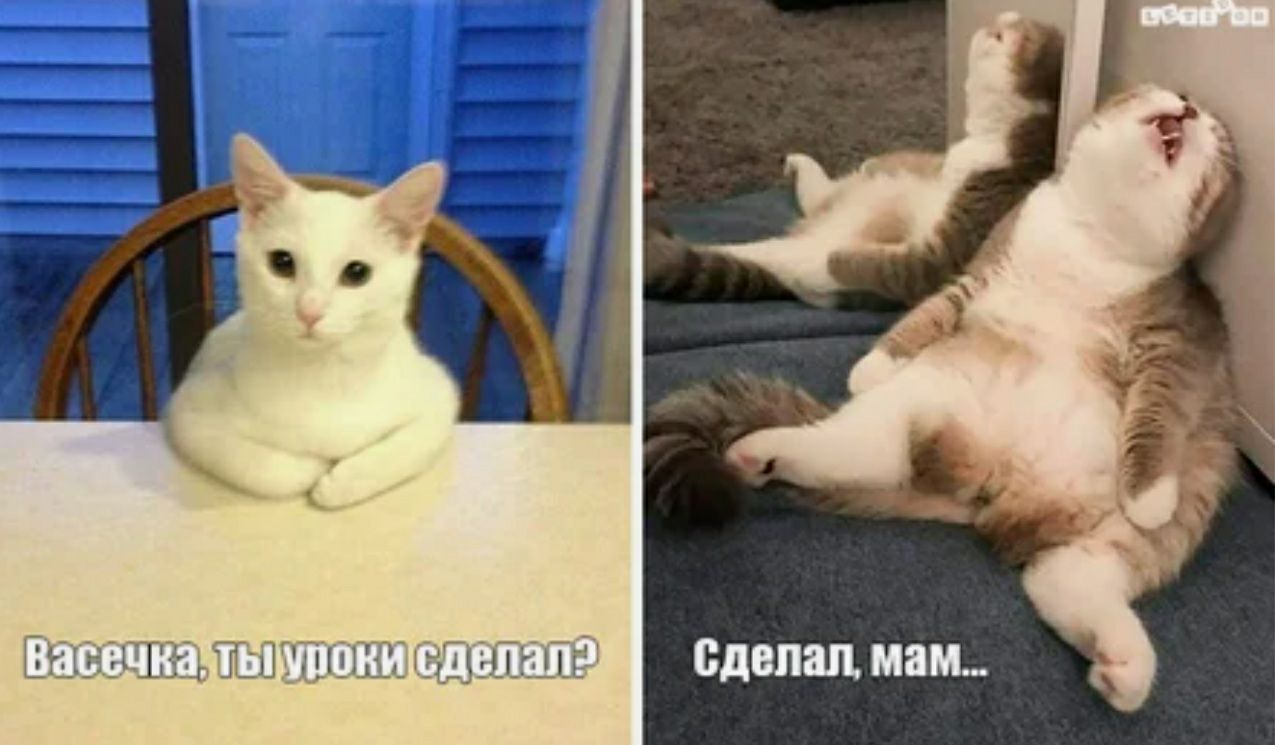 сделал МБМ