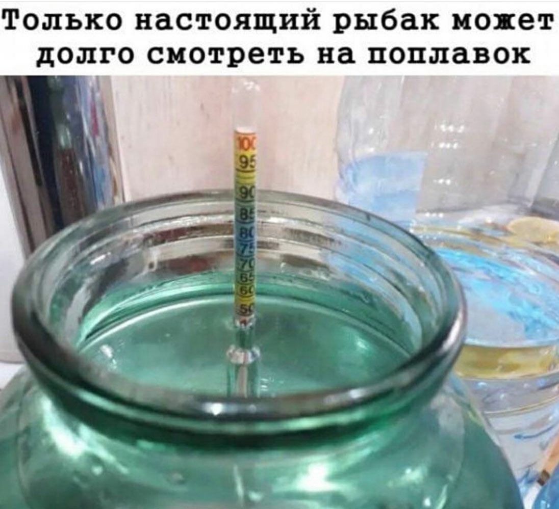 Только настоящий рыбак монет долго смотреть на поплавок