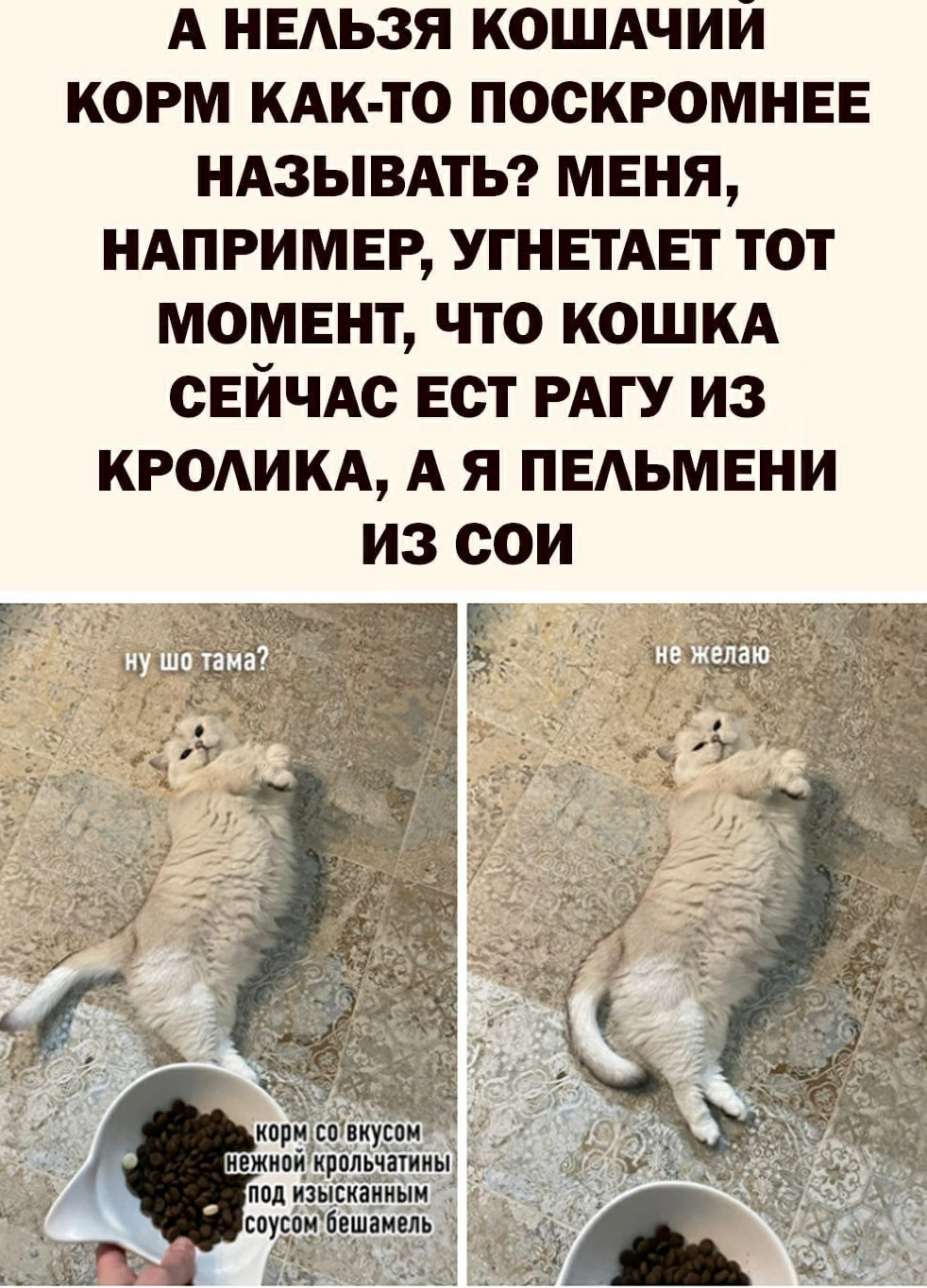 А нвдьзя КОШАЧИЙ корм КАК ТО поскромнвв ндзывдть мвня ндпримвр УГНЕТАЕТ тот момент что кошкд СЕЙЧАС ест РАГУ из КРОАИКА А Я ПЕАЬМЕНИ из 00
