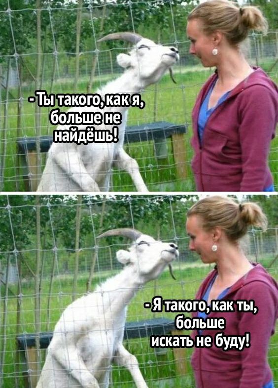 Я такого как ты больше искать не буду