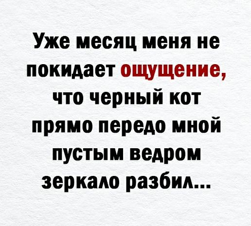 Уже месяц меня не покидает ощущение что черный кот прямо передо мной пустым ведром зеркало разбил