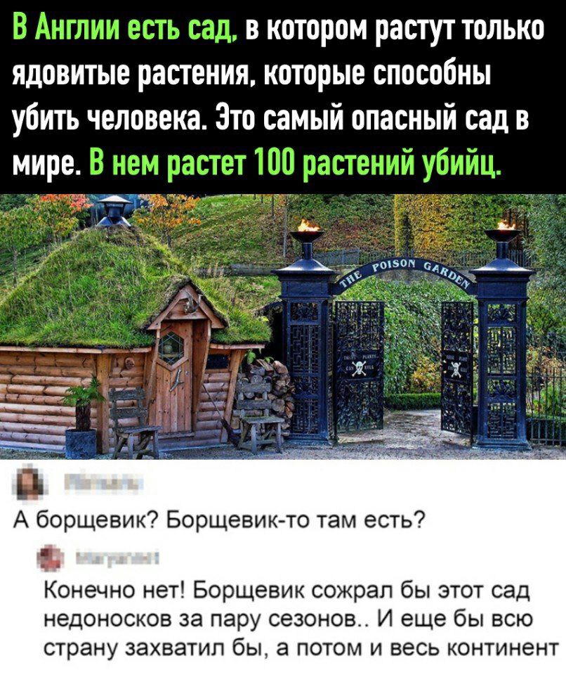 т в котором растут только ядовитые растения которые способны убить человека Это самый опасный сад в А борщевик Борщевик то там есть Конечно нет Борщевик сожрал бы этот сад недоносков за пару сезонов И еще бы всю страну захватил бы а потом и весь континент