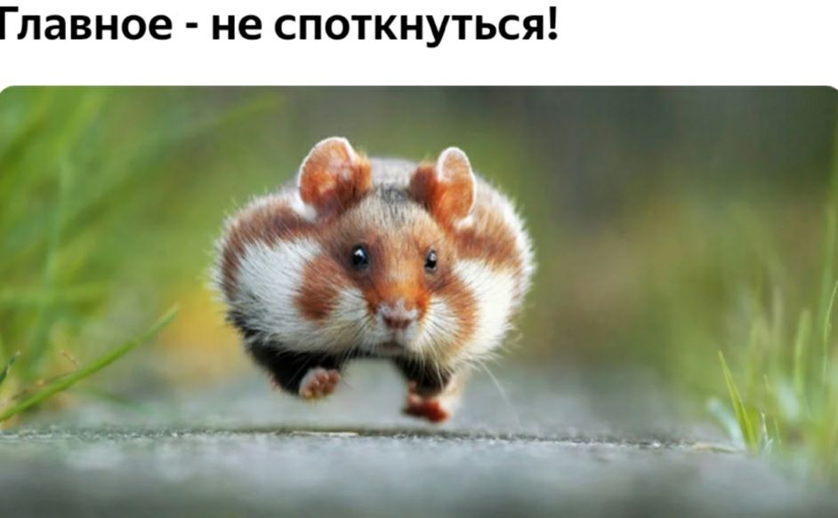 давное не СПОТКНУТЬСЯ