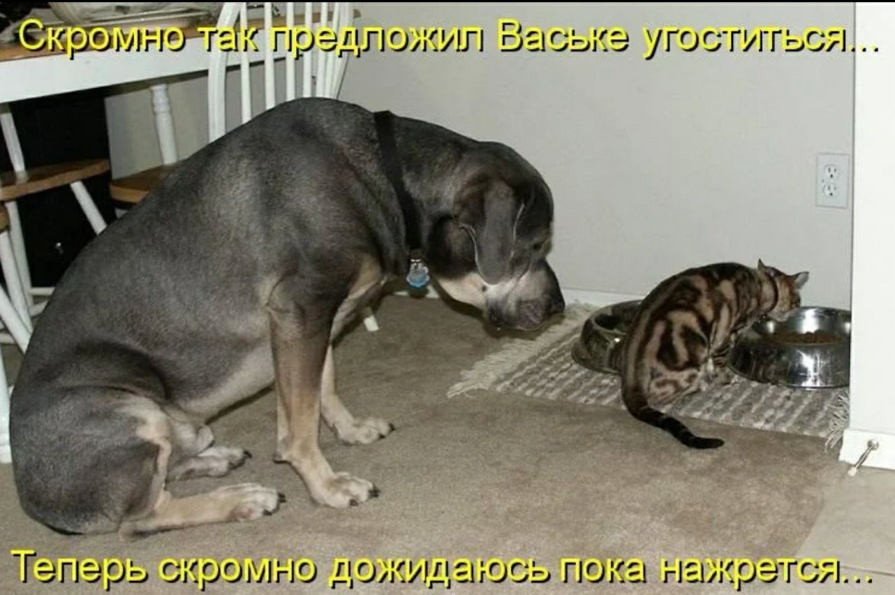 дло ил 521 сысе угоститься АБ_ид ГГідрЬ _л кратно ЦОИШ ЕО Ь ГЮКЭ глажрэг Я