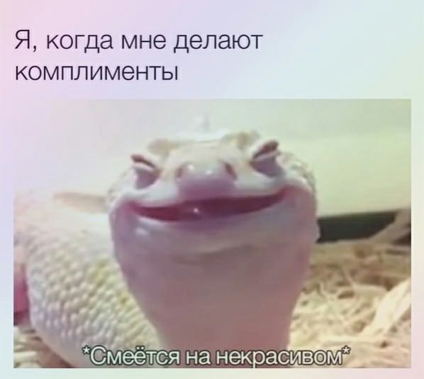 Я когда мне делают комплименты
