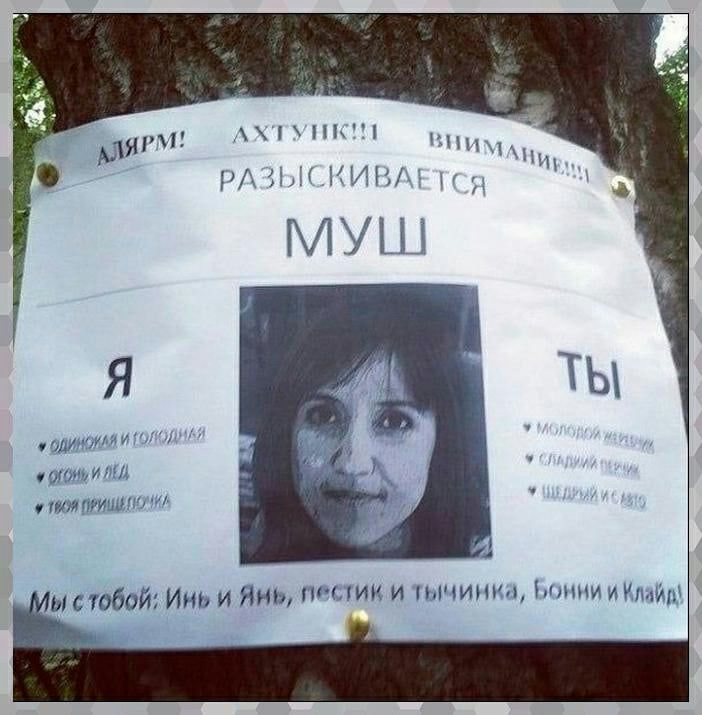 Я Н1 Ё 1ЬЁі МЕН ыстбой И и Нир пи тии и плчинш м