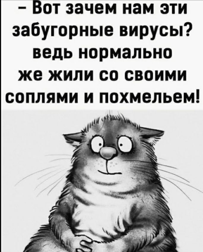 Вот зачем нам эти забугорные вирусы ведь нормально же жили со своими соплями и похмельем