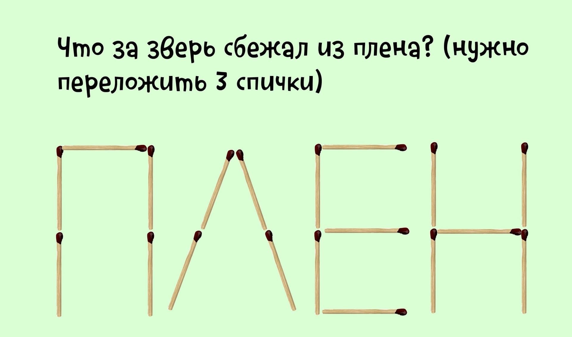 Что за зеерь сбежал из плена нужно переложить З спички Г ЁДишт