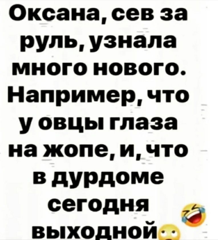 Оксана сев за руль узнала много нового Например что у овцы глаза на жопе и что В дУРдоме сегодня выходнойа