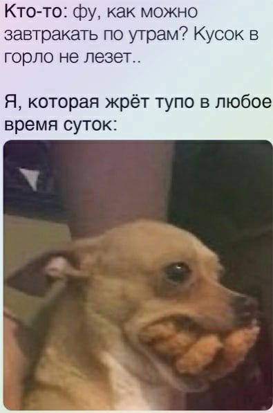 Кто то фу как можно завтракать по утрам Кусок в горло не лезет Я которая жрёт тупо в любое время суток