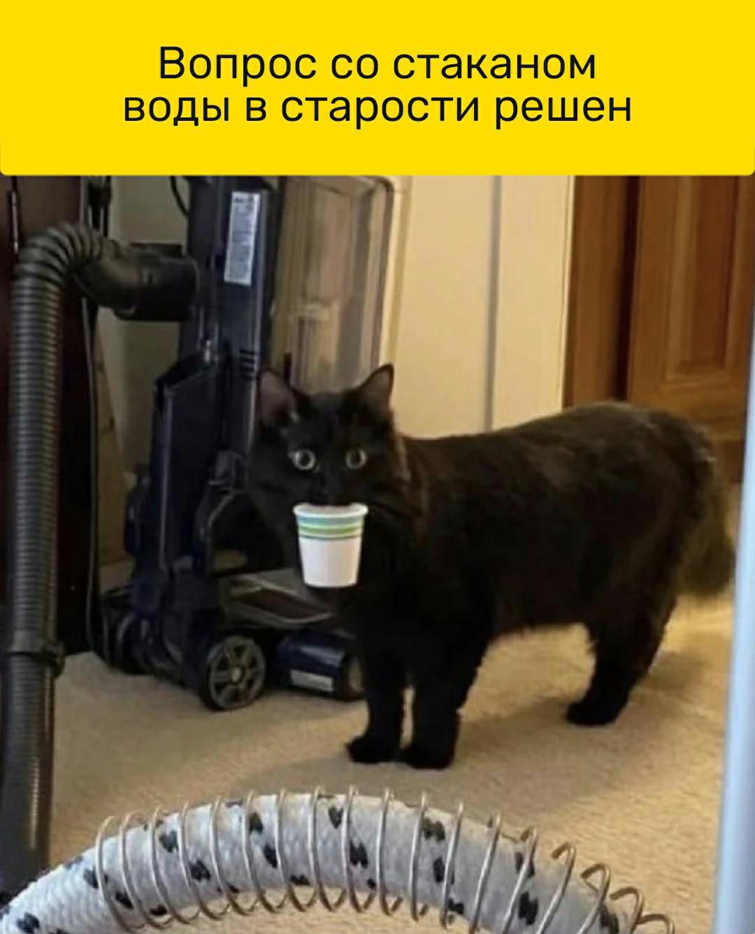 тт Нщжшштцщотттщтим